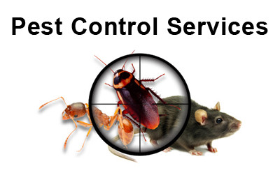 Pest Control Service