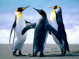TestTest