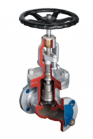 Globe Valve