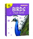 Flash Cards Birds - BIG