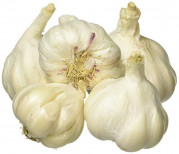 Garlic / Rasuna 250 Gram