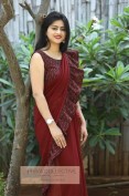 Ruffle Georgette Saree