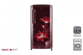 LG Single Door Refrigerator (GL-B221ARGY)