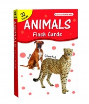 Big Flash Cards Animals