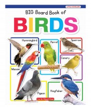 New Big Board Book Of Birds