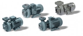Rotary Gear Pumps 