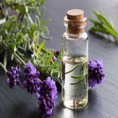 Lavender Essential Oil