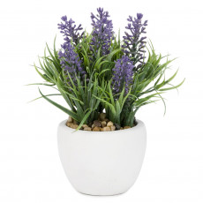 Lavender Essential Oil-1