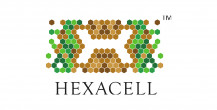 HEXACELL