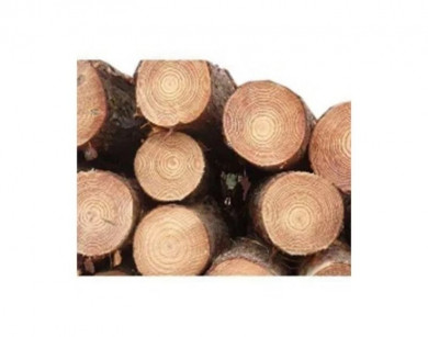 Soft/White Wood timber logs