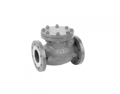 Check Valves